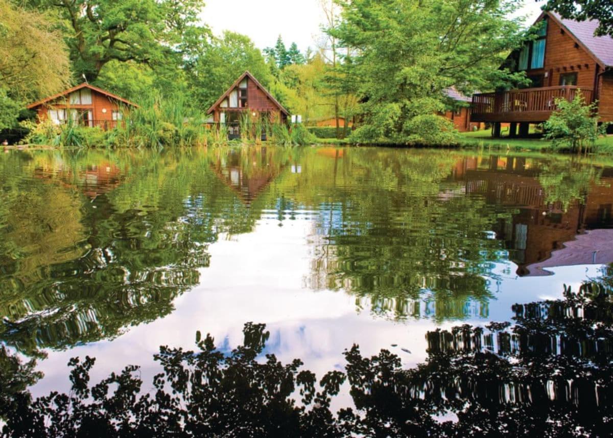 Whitemead Forest Park Hotel Parkend Luaran gambar