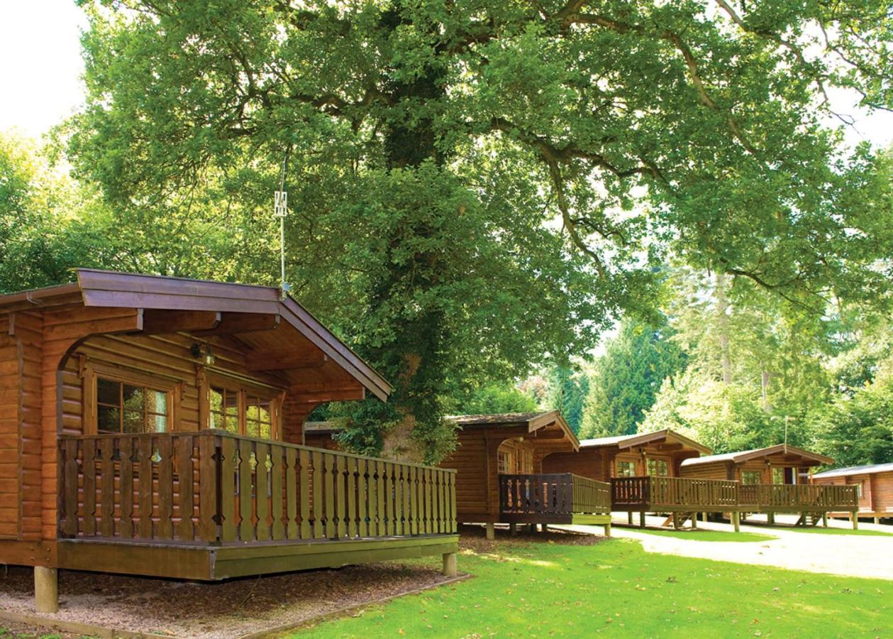 Whitemead Forest Park Hotel Parkend Luaran gambar