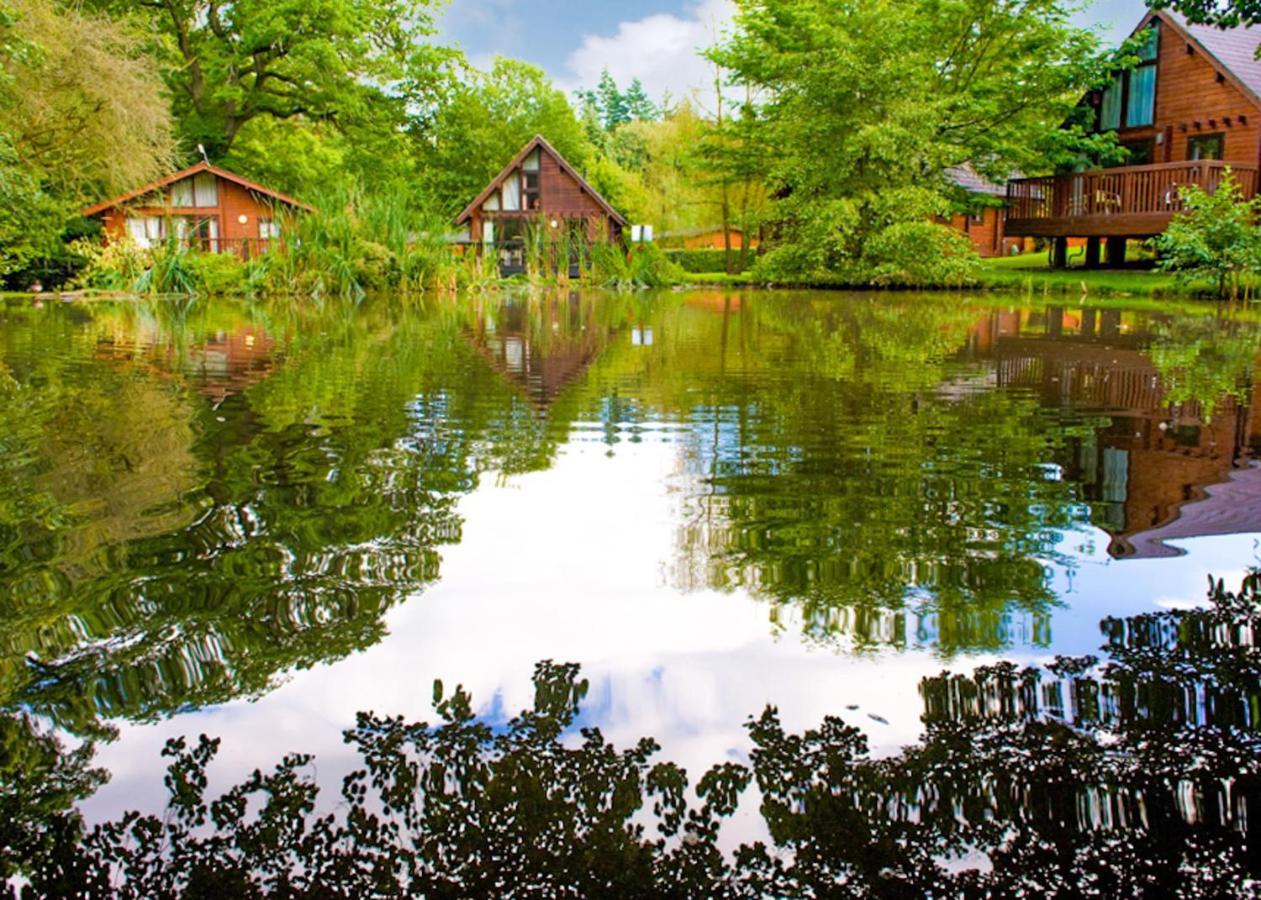 Whitemead Forest Park Hotel Parkend Luaran gambar
